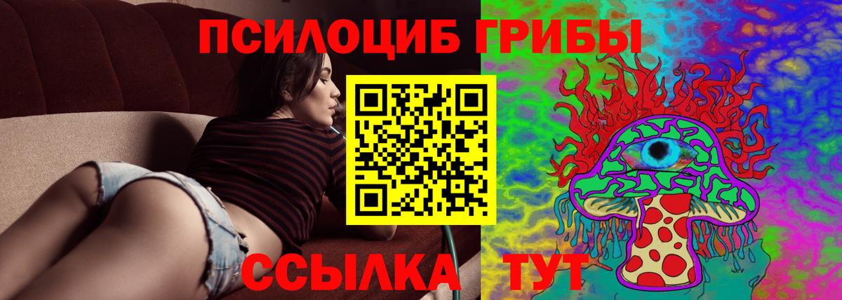 Урус-Мартан  Псилоцибиновые грибы Psilocybine cubensis  Вход с VPN 